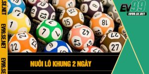 Nuôi Lô Khung 2 Ngày
