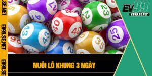 Nuôi Lô Khung 3 Ngày