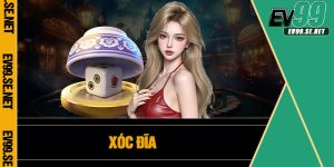 Xóc Đĩa